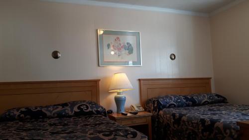 The Maplewood Motel – Photos 3