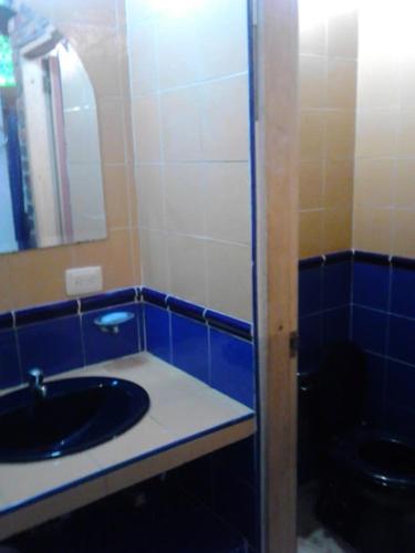 a bathroom with a sink and a mirror and a toilet at La Toscana Campestre in Viotá