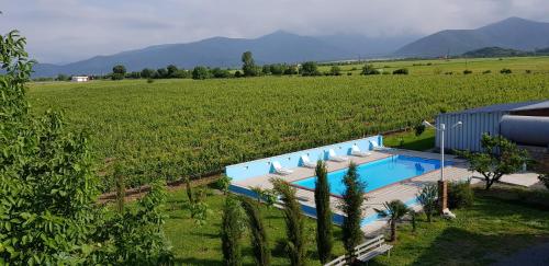 an overhead view of a swimming pool in a field at Shaloshvili's Cellar Hotel in Shilda