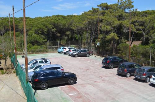 Φωτογραφία από το άλμπουμ του Hotel Belmare σε Marina di Grosseto