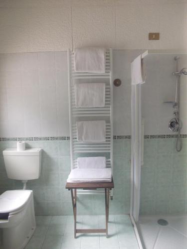 a bathroom with a shower and a toilet and a sink at Hotel La Pigna in Bardonecchia
