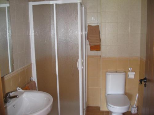 a bathroom with a shower and a toilet and a sink at Hostal Sol de la Vega in Albarracín