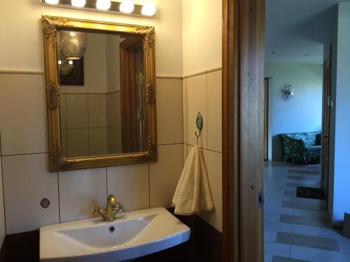 a bathroom with a sink and a mirror at Peahen Residence in Sigulda