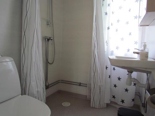 a bathroom with a white toilet and a sink at Olsnäsgården in Siljansnäs