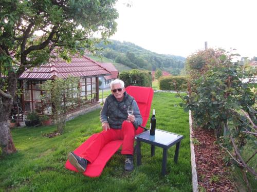 a man sitting in a red chair with a glass of wine at Anna's Home - Ferienwohnungen in Ratsch an der Weinstraße