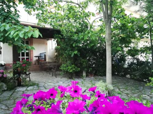a garden with pink flowers in front of a house at B&B Leggieri Villa Siria in San Giovanni Rotondo