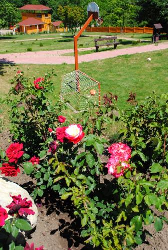 a flower garden with red roses and a bird cage at Rózsapark Vendégház in Demjén