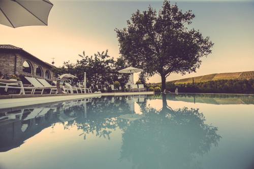 a swimming pool with a tree in the middle of it at Langhe Country House in Neive