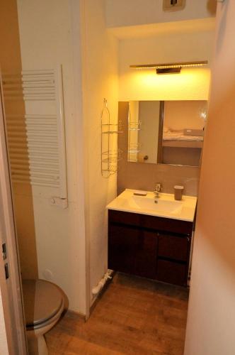 une salle de bain avec un lavabo, des toilettes et un miroir dans l'établissement Studio à Barèges, à Barèges