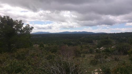 a view of a forest with mountains in the distance at Hotel Rural Grado del Pico in Grado del Pico