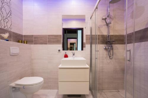 ポズナンにあるJulia Apartments Poznańのバスルーム(トイレ、洗面台、シャワー付)