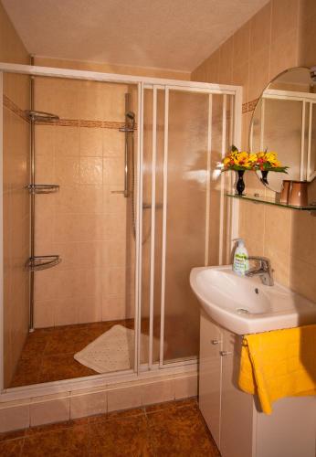 a bathroom with a shower and a sink at Ferienwohnung Gottlöber in Stadt Wehlen