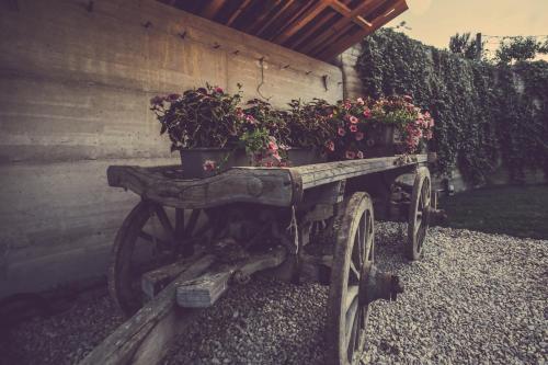 an old wooden cart with potted plants on it at Langhe Country House in Neive