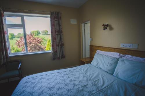 a bedroom with a bed and a window at Diamond Hill Country House in Waterford