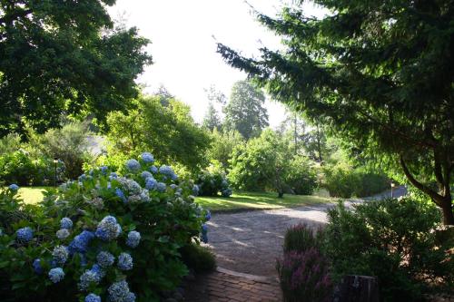 a garden with blue flowers and trees and a path at Cabañas Playa Linda in Pucón