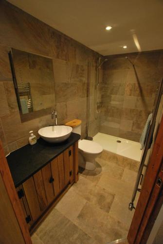 a bathroom with a sink and a toilet and a shower at Lakeview Cottage in Callington