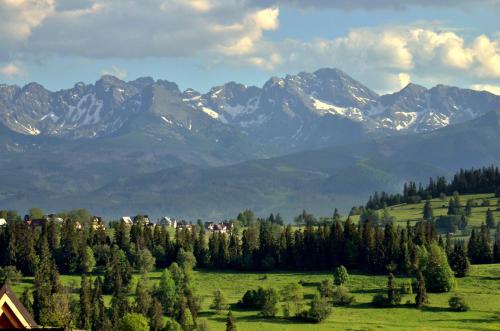 グリツァルフにあるApartament Górski z panoramą TATRの山を背景にした緑地