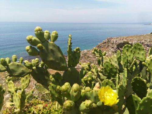 Paesaggio naturale nelle vicinanze del bed & breakfast