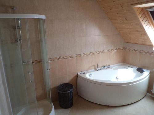 Balaton Villa في جينيسدياس: حمام مع حوض استحمام ودش زجاجي