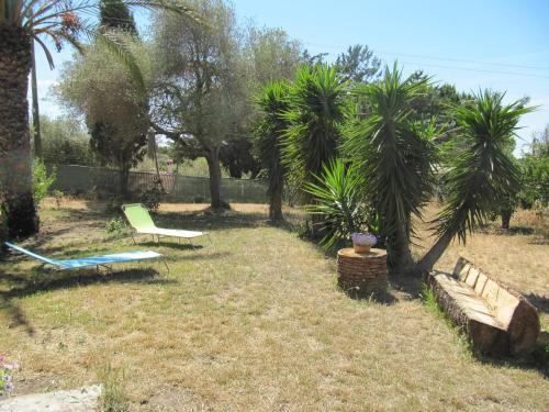 a yard with a bench and a hammock and palm trees at B&B I Limoni in Sorso