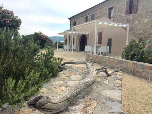 a tree branch on the ground in front of a building at Poggio di Sole in Lacona