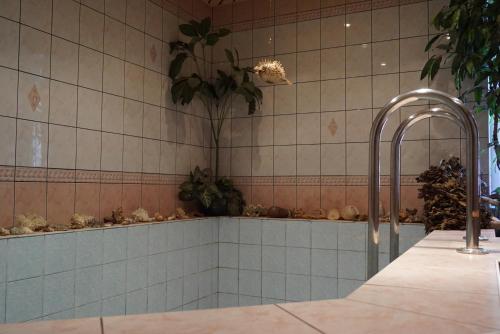 a tiled bathroom with a shower and a plant at Hunting House Ezerkrasti in Lapmežciems