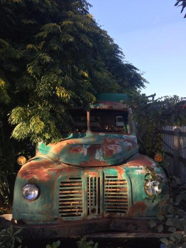 an old truck is sitting in front of a tree at Little River Bed and Breakfast in Little River