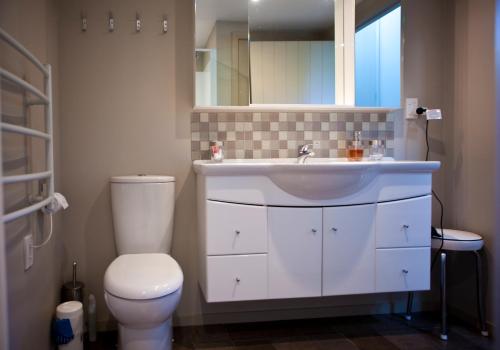 a bathroom with a sink and a toilet and a mirror at For Puffed Pedallers in Mapua