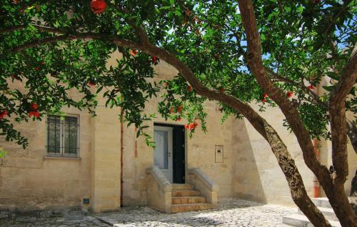 budynek z drzwiami i drzewem w obiekcie Piano Piano - Rooms w mieście Matera