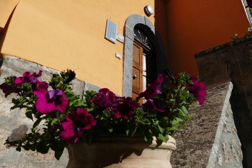 Gallery image of Alloggio Turistico Francalancia 52 in Bagnoregio