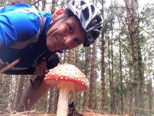 a person in a helmet is looking at a mushroom at Reserva Guadalajara - Cocora Valley in Salento