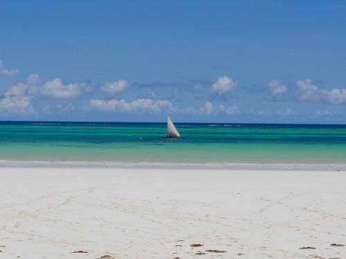 a sail boat in the ocean on a beach at The Zubeida Boutique Resort in Diani Beach