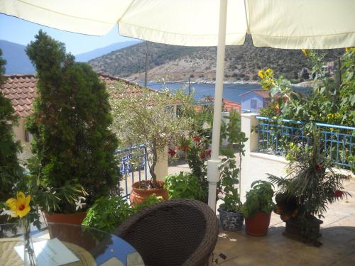 a balcony with potted plants and a table and an umbrella at Olive Bay Hotel in Ayia Evfimia