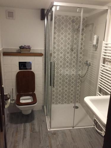 a bathroom with a shower with a toilet and a sink at Pension Wok in Český Krumlov