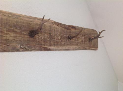 a piece of wood with antlers on a ceiling at Hof Kranichstein in Kluis