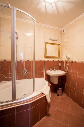 a bathroom with a shower and a tub and a sink at Pension PREMIUM in Český Krumlov