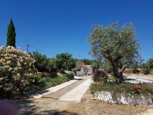 Κήπος έξω από το Horta Da Coutada