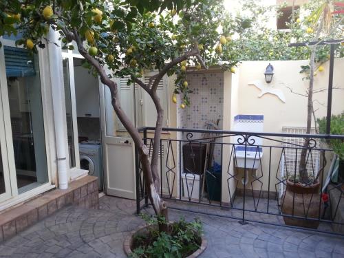 サン・ヴィート・ロ・カーポにあるcasa rosaの家の前にレモンの木がある柵