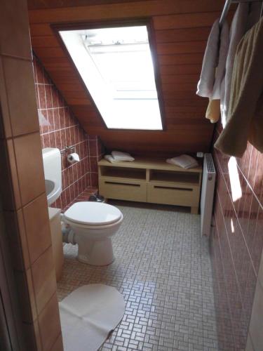 ブットヤーディンゲンにあるHaus Sabineのバスルーム(トイレ、天窓付)