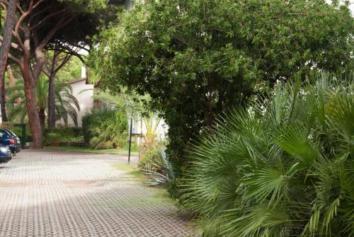 a sidewalk with trees and plants next to a street at Residence Verde Pineta in Principina a Mare