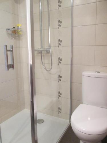 a bathroom with a shower with a toilet at Les Coquelicots in Saint-Urbain