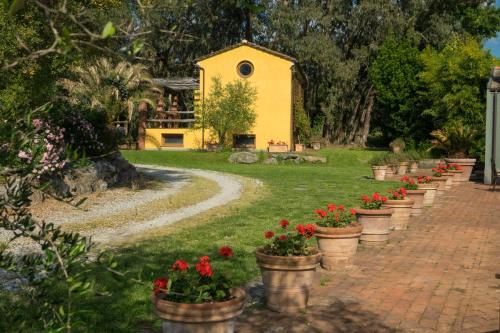 eine Reihe von Blumentöpfen mit einer Kirche im Hintergrund in der Unterkunft Resort La Ghiaia in Sarzana