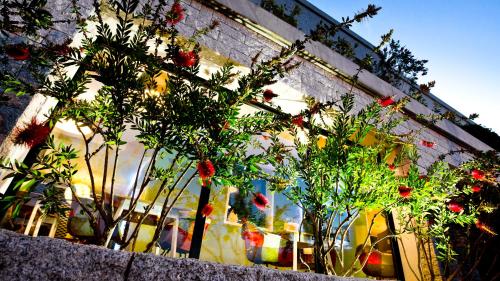a group of plants in front of a building at Rossi Hôtel in Sartène