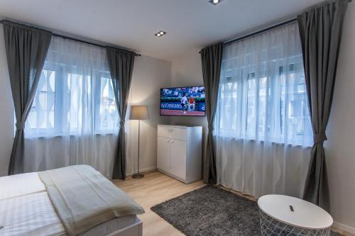 Televízia a/alebo spoločenská miestnosť v ubytovaní Priuli Luxury Rooms