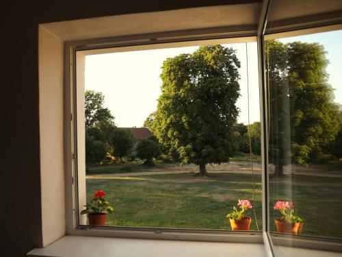 a window with two potted plants in a yard at Studniska Country Estate in Studniska