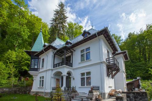 a large white house with a green roof at IL Piccolo Castello Busteni in Buşteni