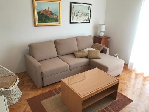 Apartment Branka