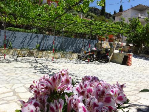 a bunch of pink flowers sitting on a sidewalk at Elena Rista Studios in Parga