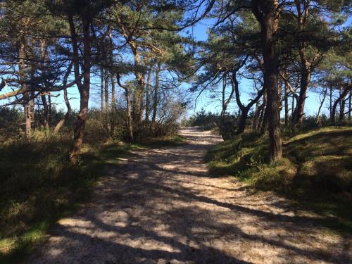 a dirt road with trees on either side at Wassermusik in Juliusruh