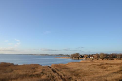 a view of a body of water with a grass field at Wassermusik in Juliusruh
